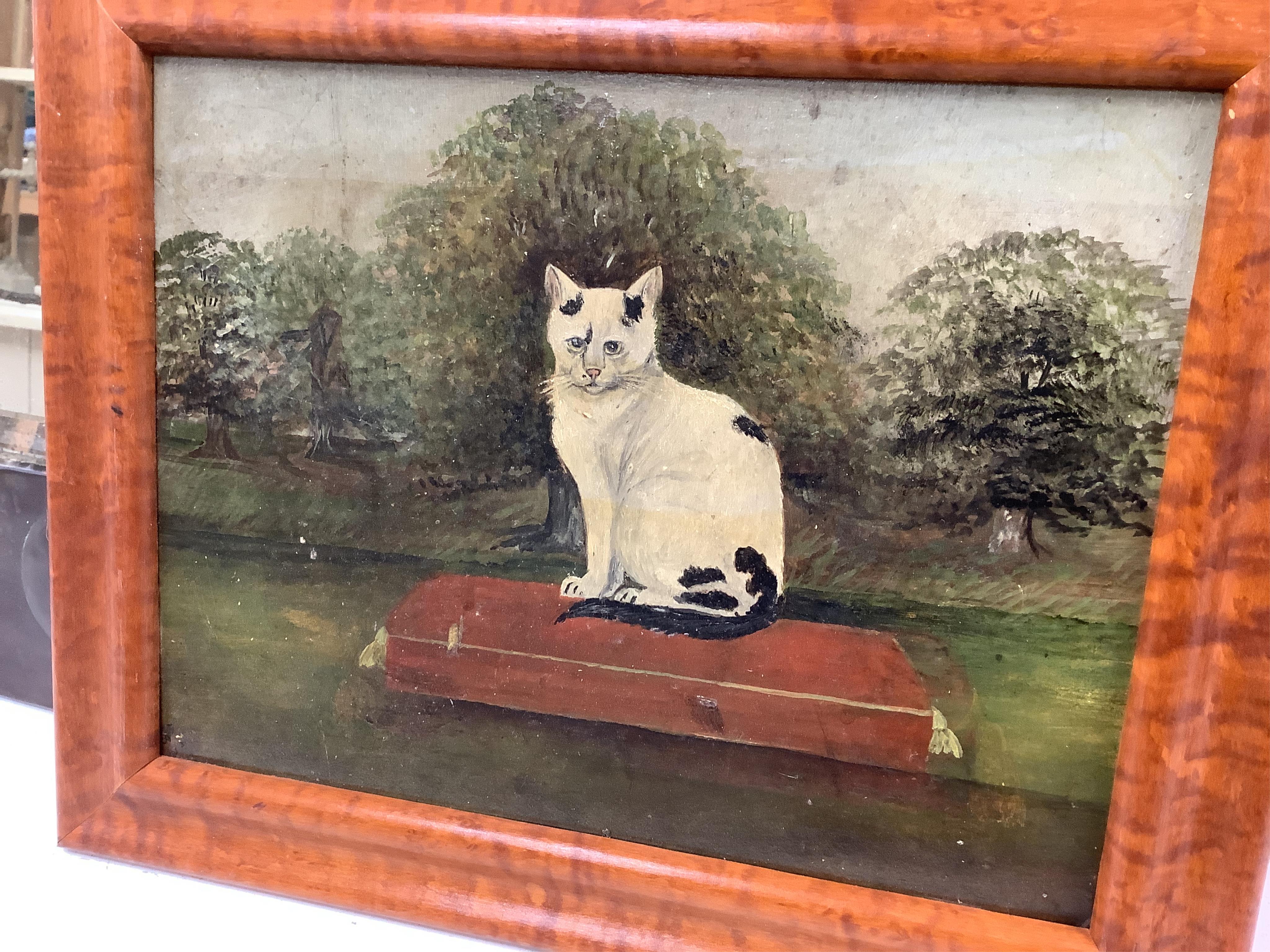 Late 19th / early 20th century, naive English School, oil on board, Study of a seated cat, indistinctly monogrammed lower left, 22 x 29cm. Condition - fair